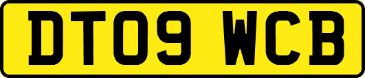 DT09WCB