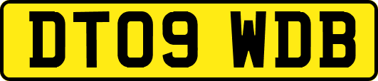 DT09WDB