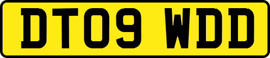 DT09WDD