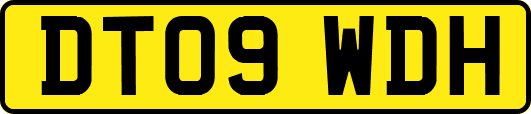 DT09WDH
