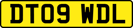 DT09WDL