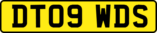 DT09WDS