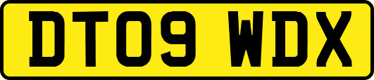 DT09WDX