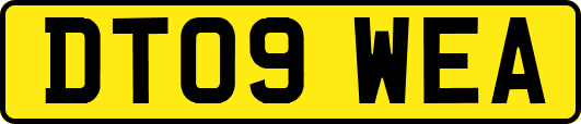 DT09WEA