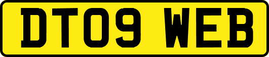 DT09WEB