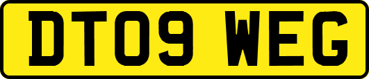 DT09WEG