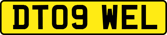 DT09WEL