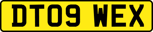 DT09WEX