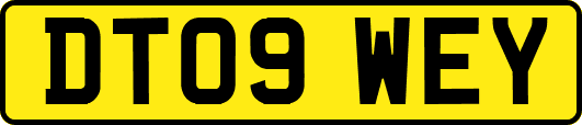 DT09WEY