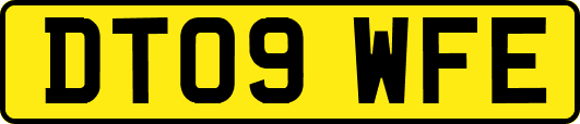 DT09WFE