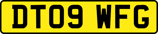 DT09WFG