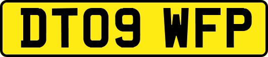 DT09WFP