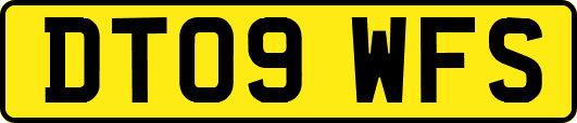 DT09WFS