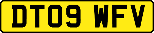 DT09WFV