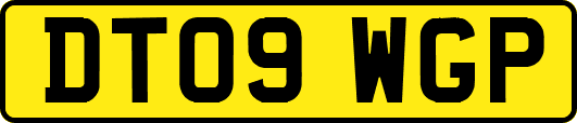 DT09WGP