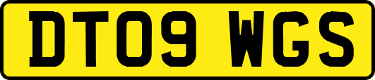 DT09WGS