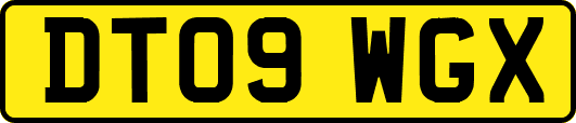 DT09WGX