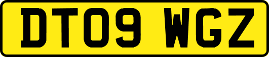 DT09WGZ