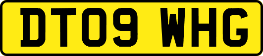 DT09WHG