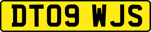 DT09WJS
