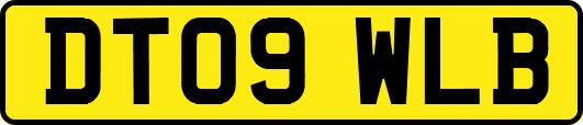DT09WLB