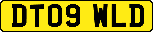 DT09WLD