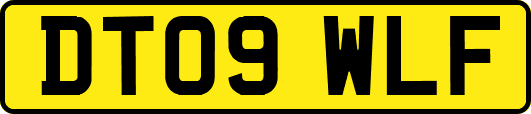 DT09WLF