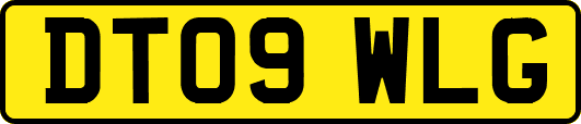 DT09WLG
