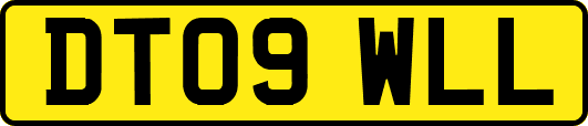 DT09WLL