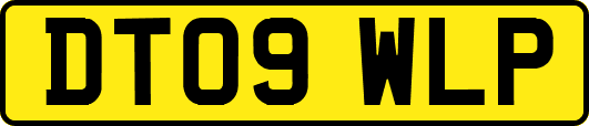 DT09WLP