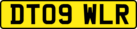 DT09WLR