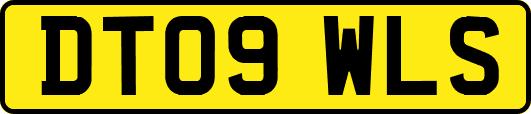 DT09WLS