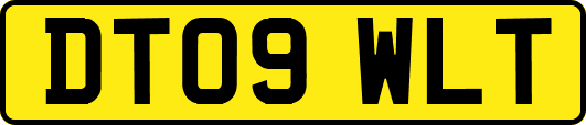 DT09WLT