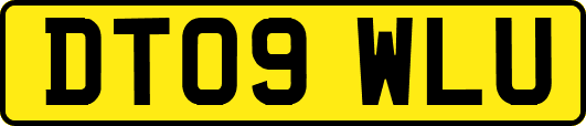 DT09WLU