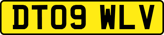 DT09WLV