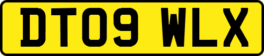 DT09WLX
