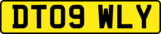 DT09WLY