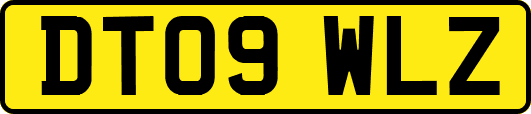 DT09WLZ