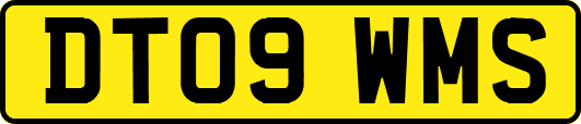 DT09WMS