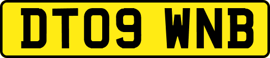 DT09WNB