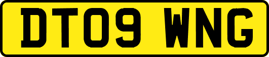 DT09WNG