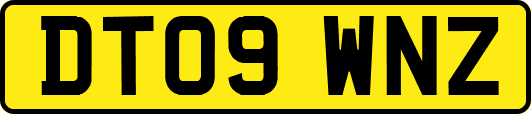 DT09WNZ