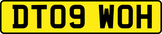 DT09WOH