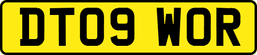 DT09WOR