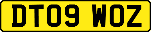 DT09WOZ