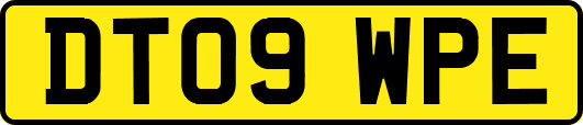 DT09WPE