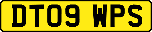 DT09WPS