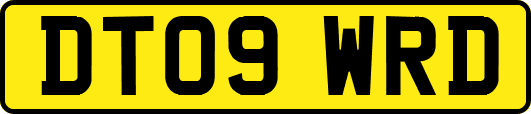 DT09WRD