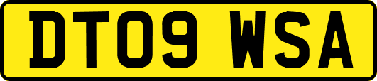 DT09WSA