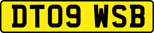 DT09WSB